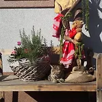 Bauernhof Baumgartner Stanahof Farm stay Fresach
