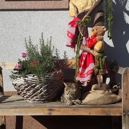 Bauernhof Baumgartner Stanahof 팜스테이 Fresach