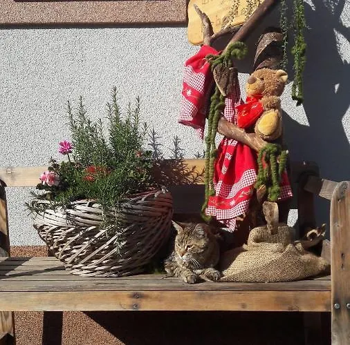 Bauernhof Baumgartner Stanahof Agroturismo Fresach