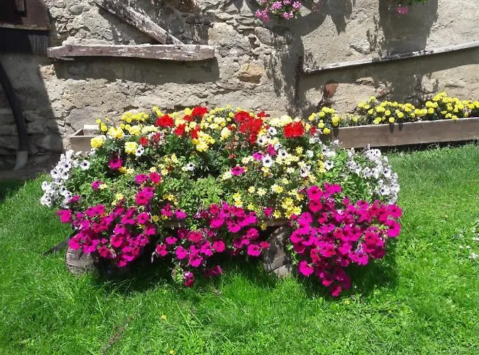 Gospodarstwo agroturystyczne Bauernhof Baumgartner Stanahof *