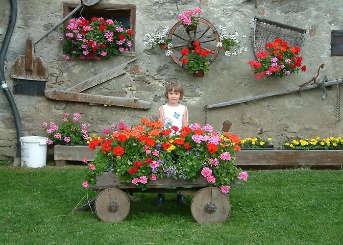 Bauernhof Baumgartner Stanahof * Fresach