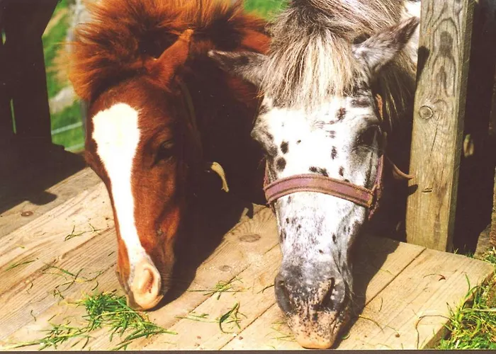 Bauernhof Baumgartner Stanahof